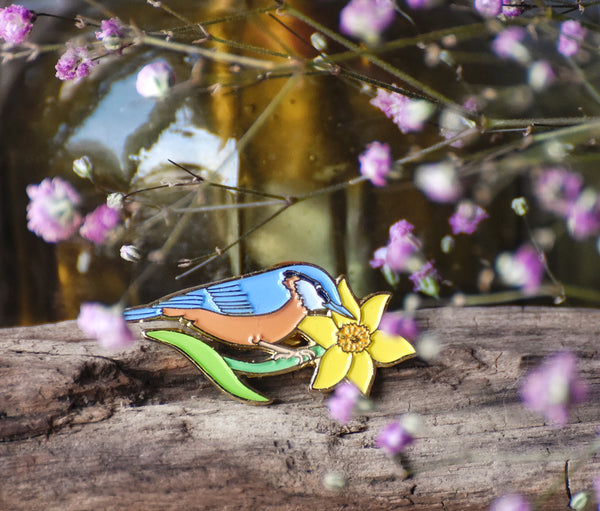 Pin's Sittelle, accessoire