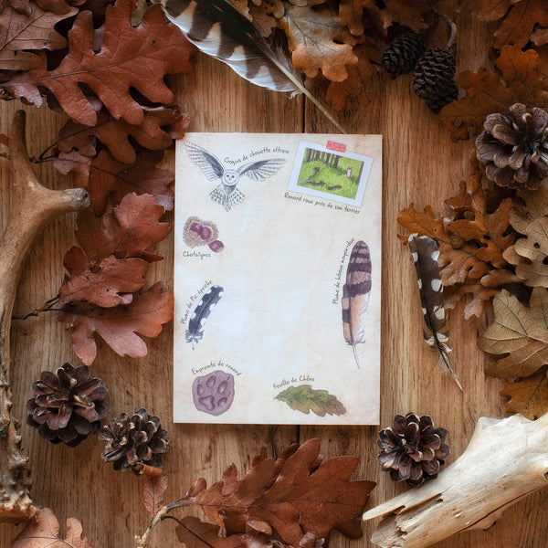 BLOC-NOTES Naturaliste, A6 - papeterie