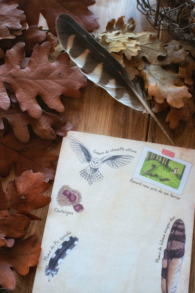 BLOC-NOTES Naturaliste, A6 - papeterie