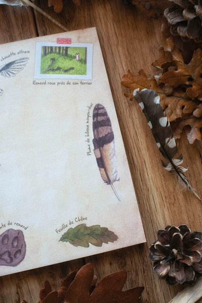 BLOC-NOTES Naturaliste, A6 - papeterie