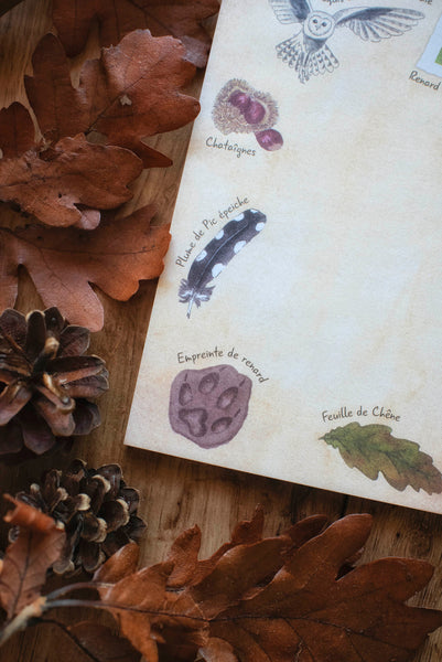 BLOC-NOTES Naturaliste, A6 - papeterie