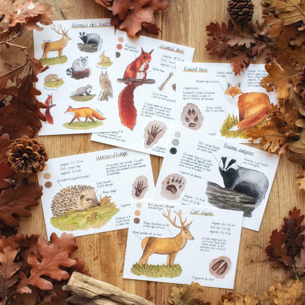 CARTE Animaux des forêts, A6 - carterie - papeterie