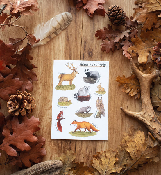 CARTE Animaux des forêts, A6 - carterie - papeterie