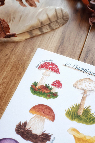 CARTE Champignons, A6 - carterie - papeterie