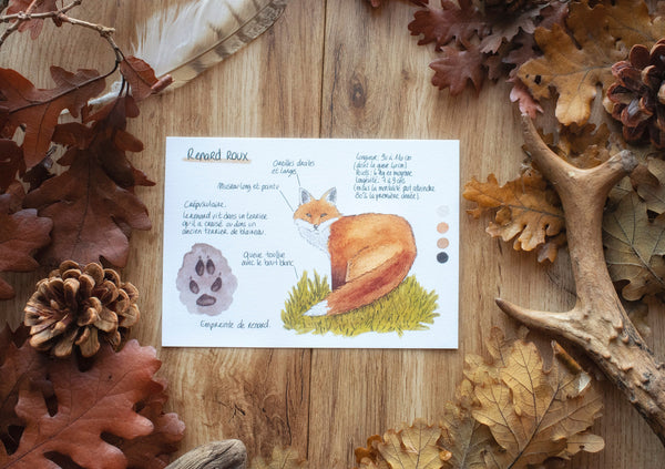 CARTE Animaux des forêts, A6 - carterie - papeterie