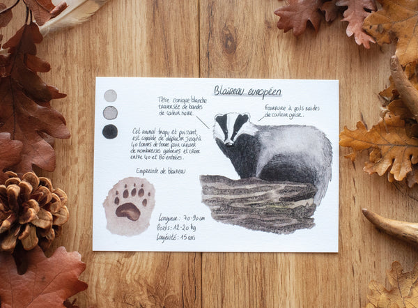 CARTE Animaux des forêts, A6 - carterie - papeterie