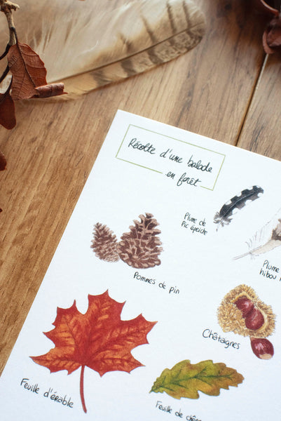 CARTE Récolte en forêt, A6 - carterie - papeterie