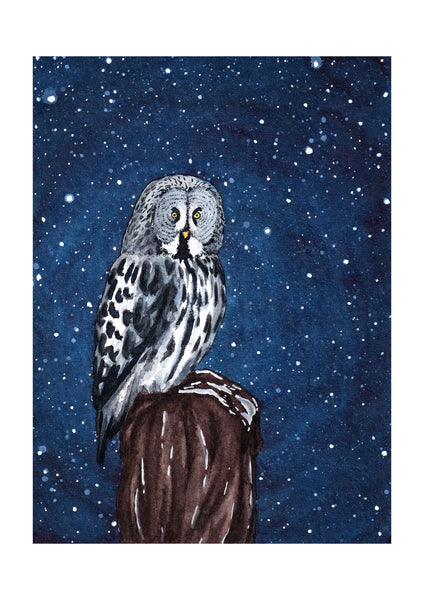 Précommandes AFFICHES au choix ( parmi 10 illustrations) - décoration, impressions d’art