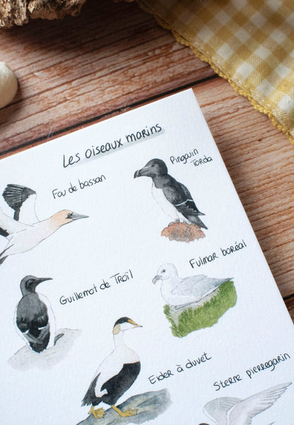 CARTE Les oiseaux marins, A6 - carterie - papeterie