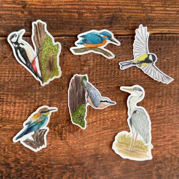 Lot de 6 STICKERS Oiseaux - papeterie