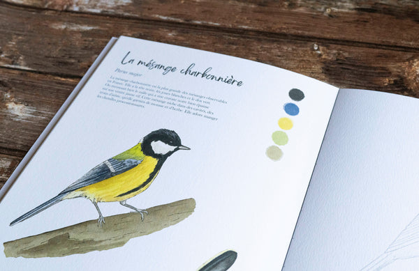 Lot Livre de coloriage et Tasse en porcelaine "L'envolée printanière"