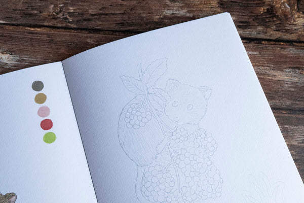 Livre de coloriage "Balades en forêt"