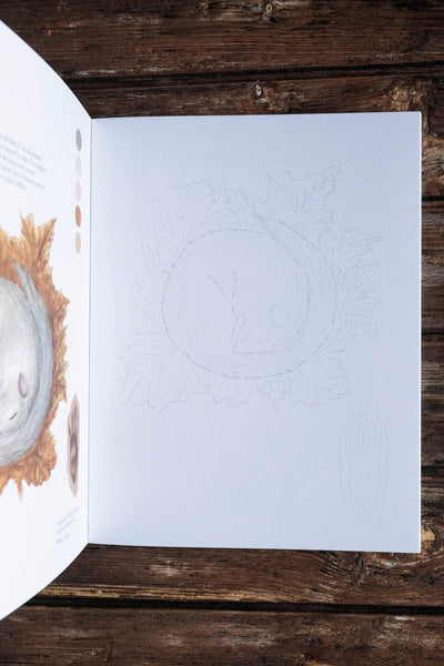 Livre de coloriage "Balades en forêt"