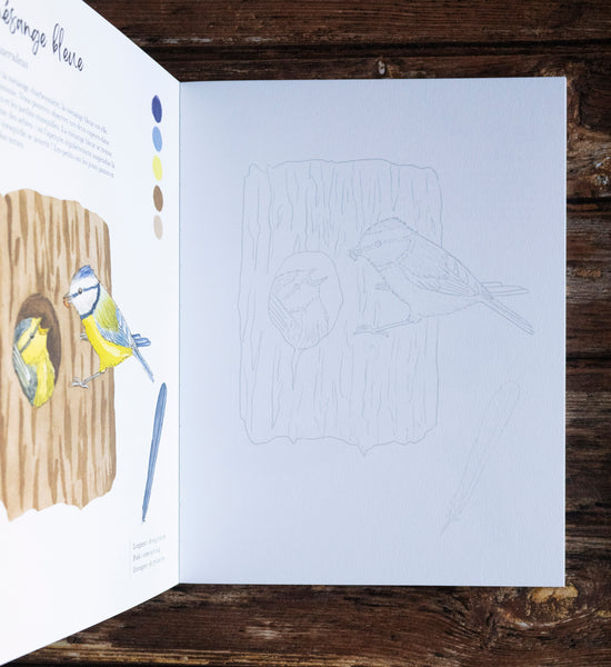 Livre de coloriage "Balades en forêt"