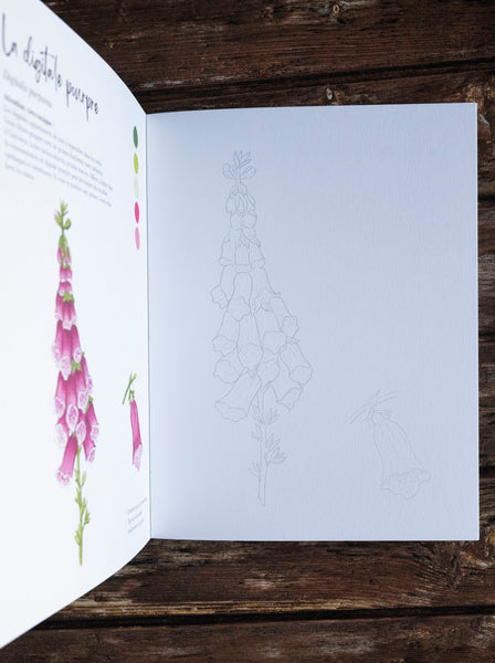 Livre de coloriage "Balades en forêt"