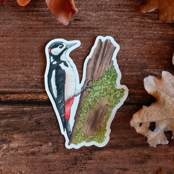 Lot de 6 STICKERS Oiseaux - papeterie