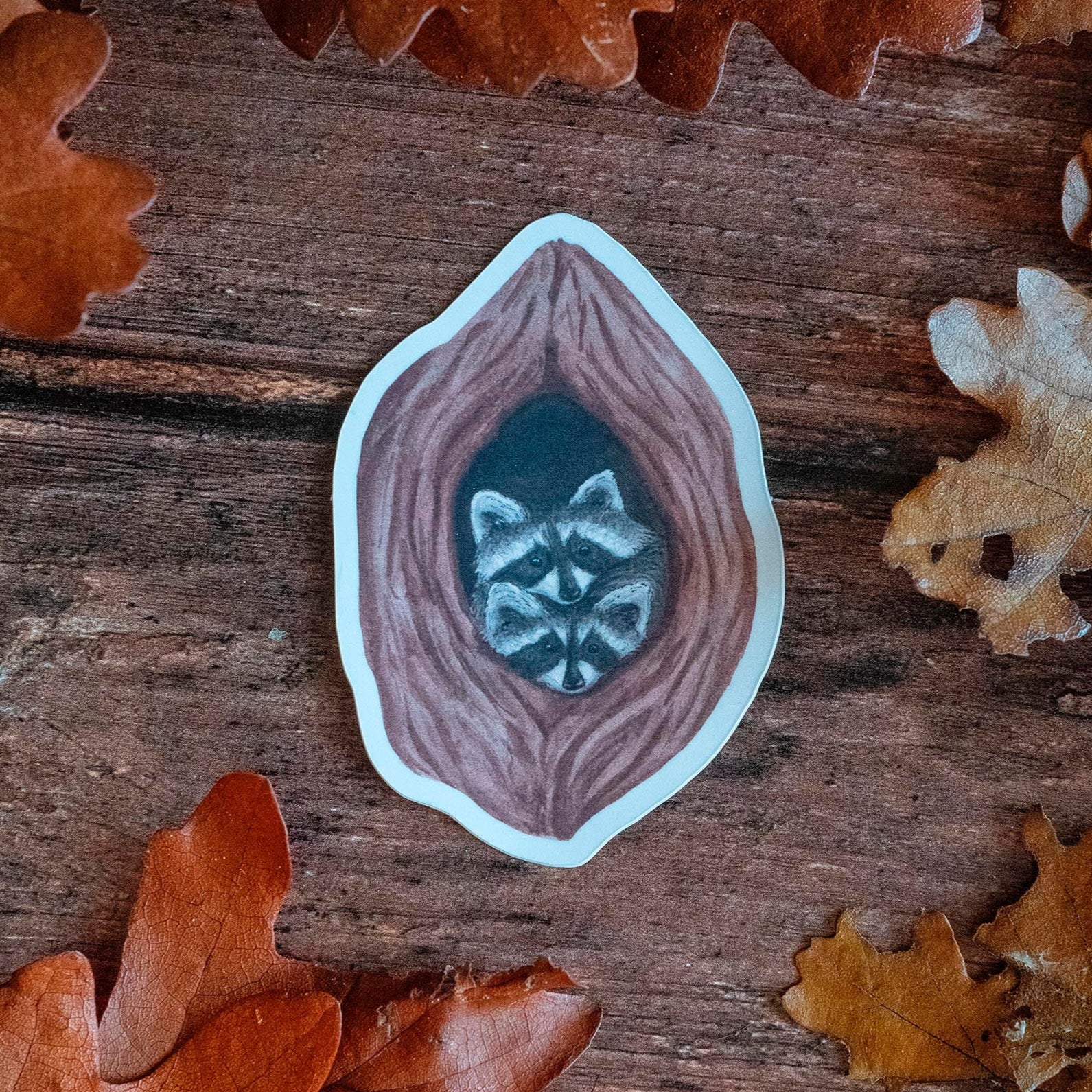 STICKER "Ratons laveurs" - papeterie