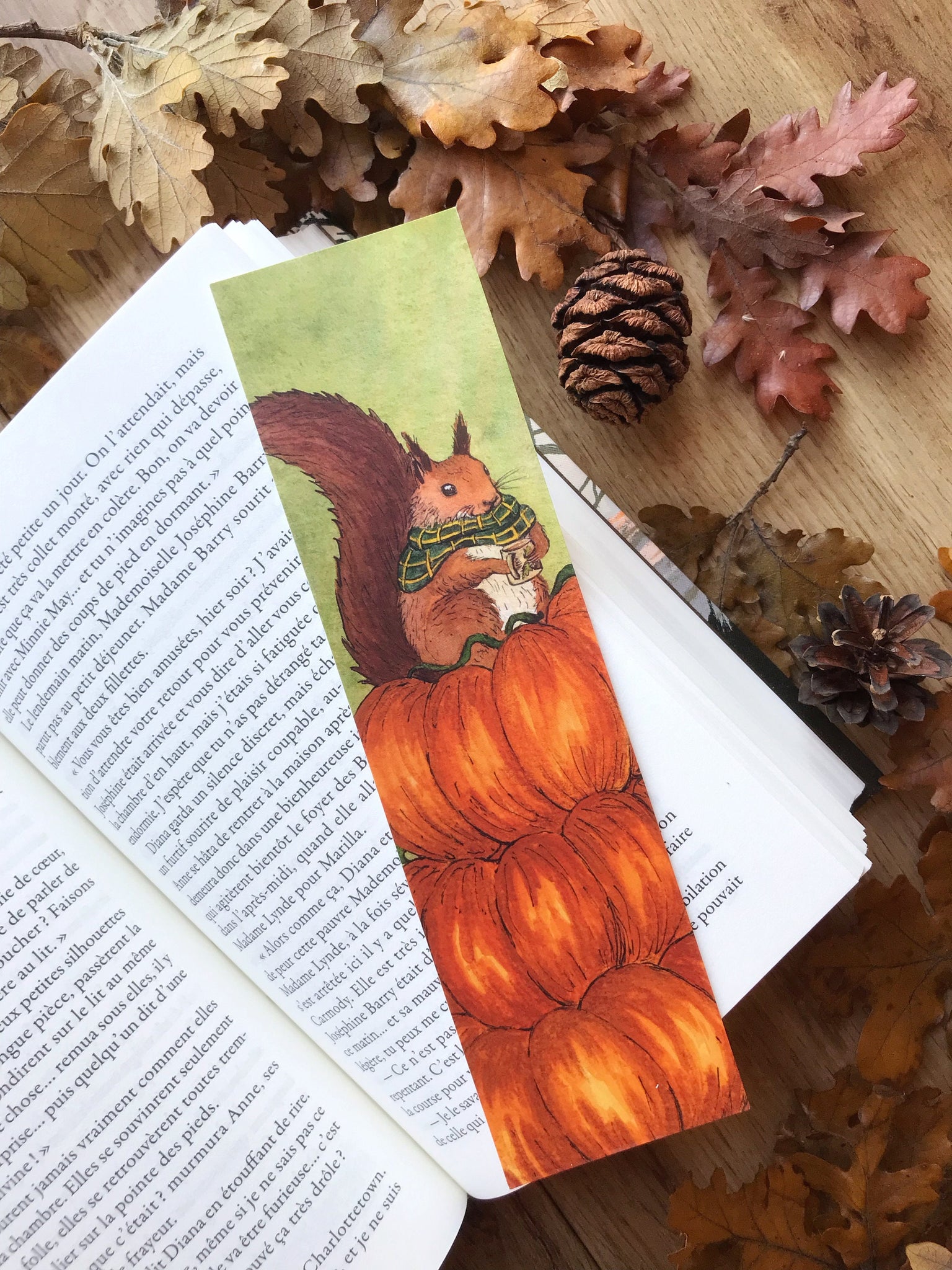 MARQUE-PAGES Les saisons